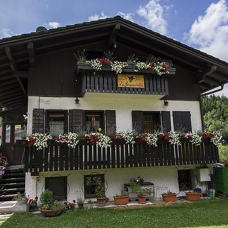 B&B La Genzianella Perarolo di Cadore Екстериор снимка