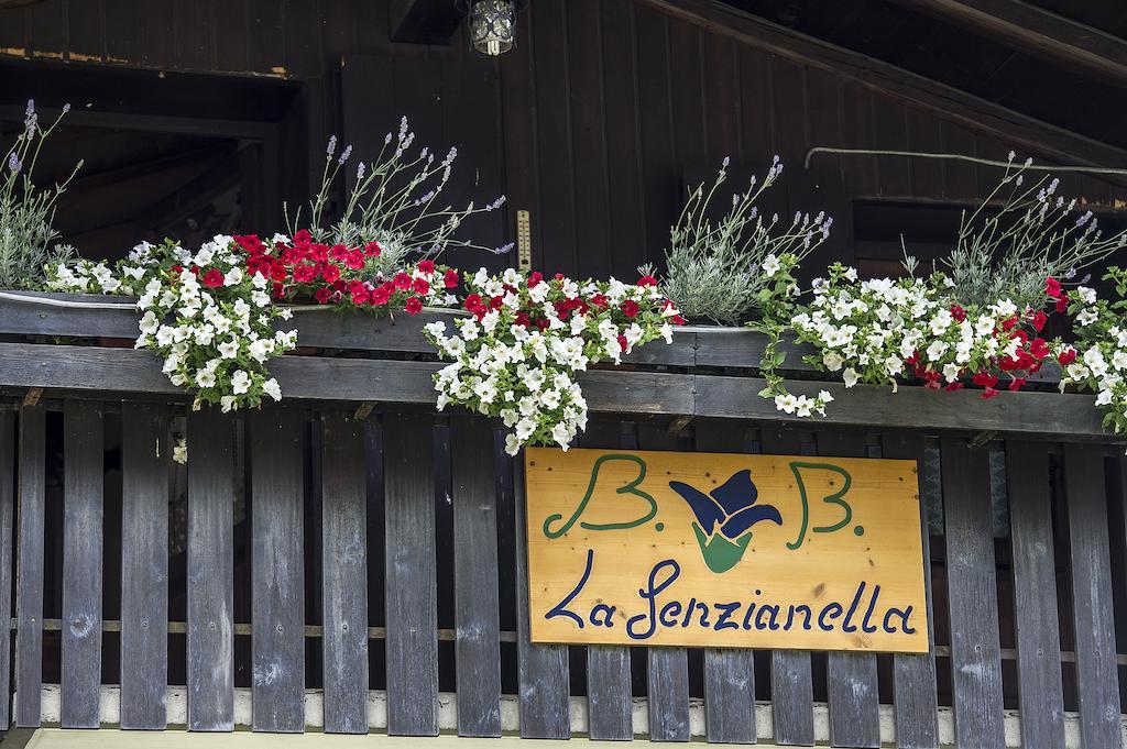 B&B La Genzianella Perarolo di Cadore Екстериор снимка