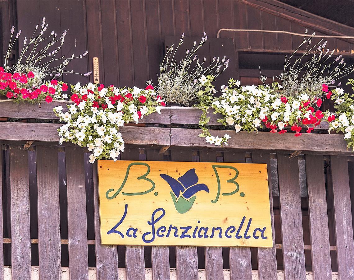 B&B La Genzianella Perarolo di Cadore Екстериор снимка